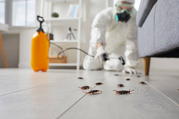 Commercial Kitchen Cockroach Control in Elko New Market